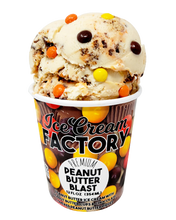 Load image into Gallery viewer, Favorites Pack of Ice Cream Factory
